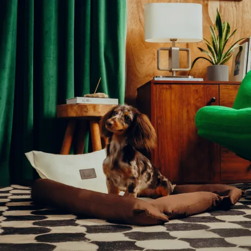 Dezen petcare0141 Twissk Oasis Series:Pet Bed