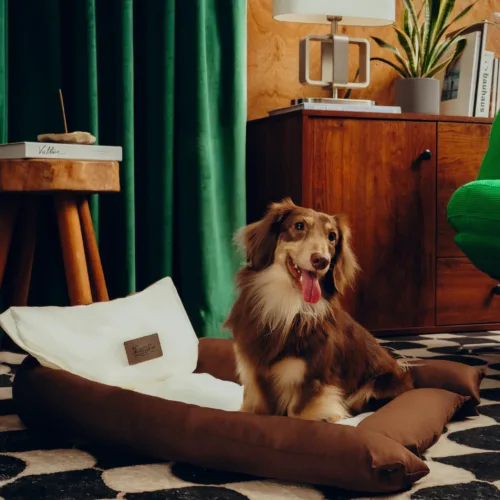 Dezen petcare0242 Twissk Oasis Series:Pet Bed