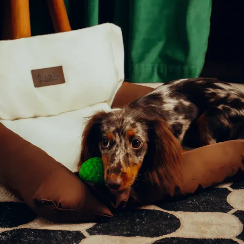 Dezen petcare0269 Twissk Oasis Series:Pet Bed