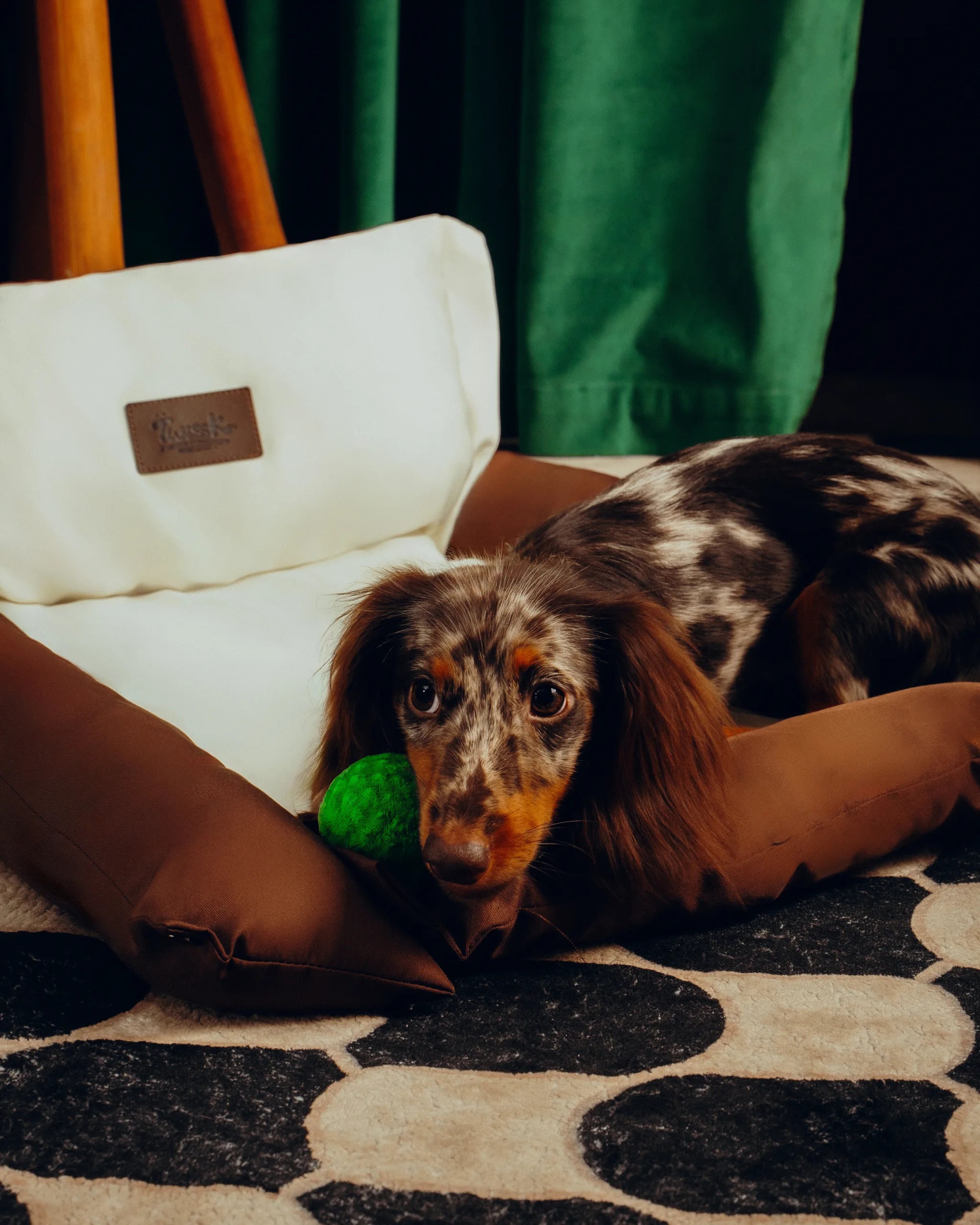 Dezen petcare0269 Twissk Oasis Series:Pet Bed