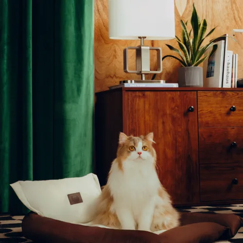 Dezen petcare0801 Twissk Oasis Series:Pet Bed