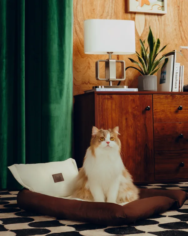 Dezen petcare0801 Twissk Oasis Series:Pet Bed