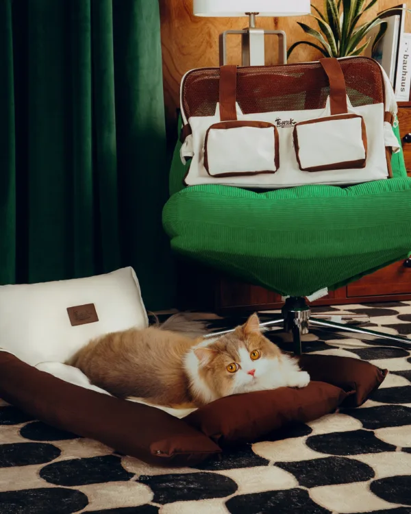 Dezen petcare0828 Twissk Oasis Series:Pet Bed