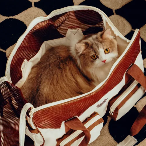 Dezen petcare0841 Twissk Oasis Series:Pet Carrier